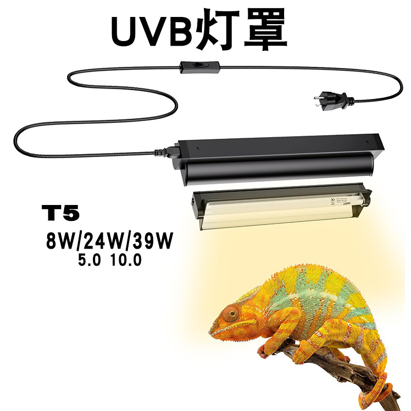 Calcium Powder Reptile - T5 UVB Tube With Integrated Fixture