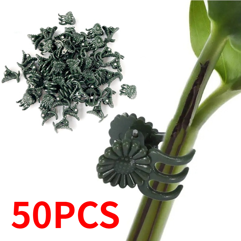 50PCS 5-Claw Dark Green Plant  - Vine Climbing Plastic ulasan dan harga