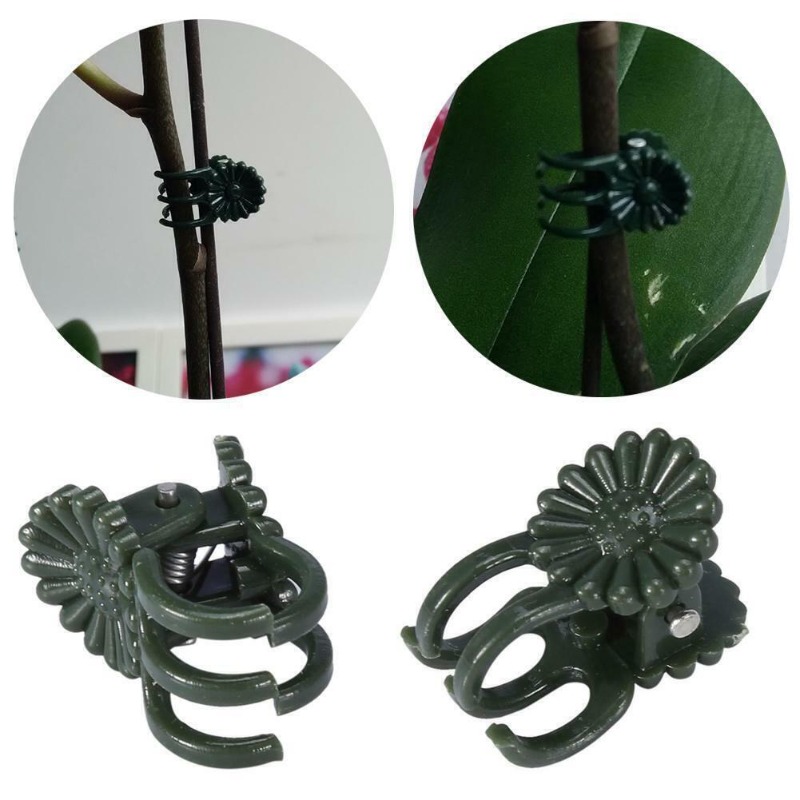 50PCS 5-Claw Dark Green Plant  - Vine Climbing Plastic ulasan dan harga