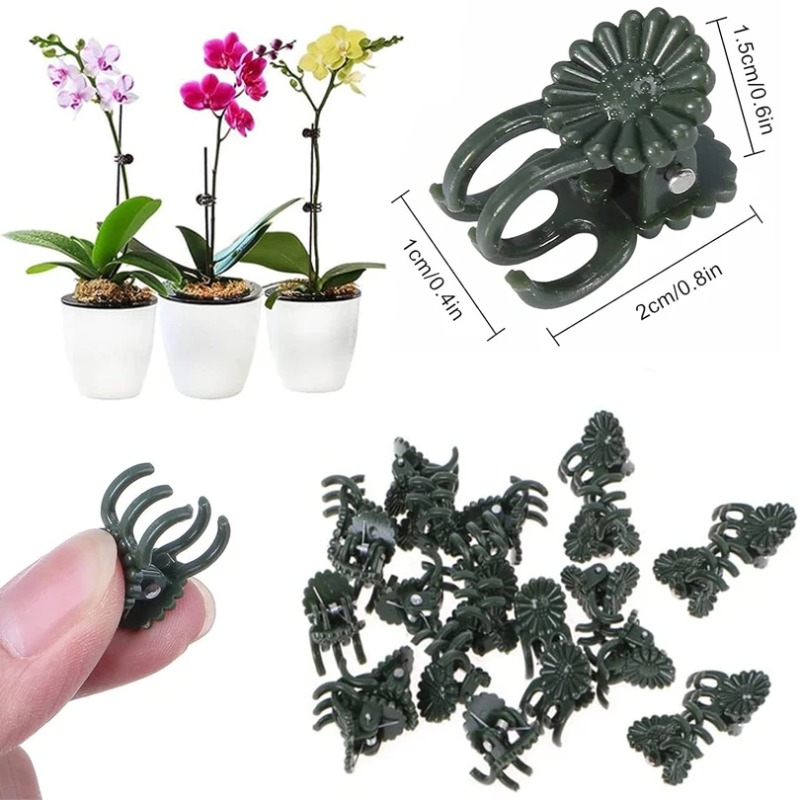 50PCS 5-Claw Dark Green Plant  - Vine Climbing Plastic ulasan dan harga