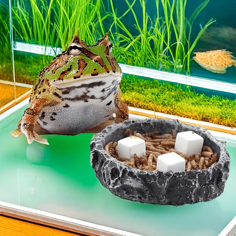 6Pcs Fish Tank Calcium Block M - Calcium Powder Reptile ulasan dan harga